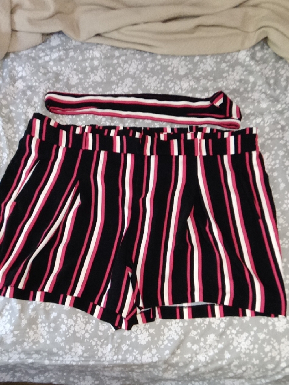 Torrid Shorts Sz 26